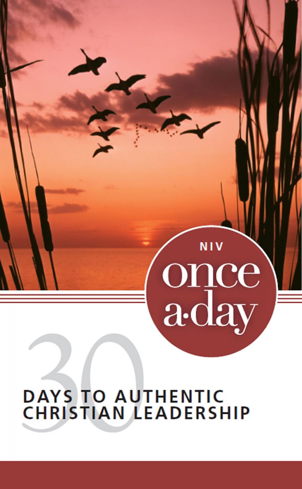 Big bigCover of NIV, Once-A-Day: 30 Days to Authentic Christian Leadership, eBook