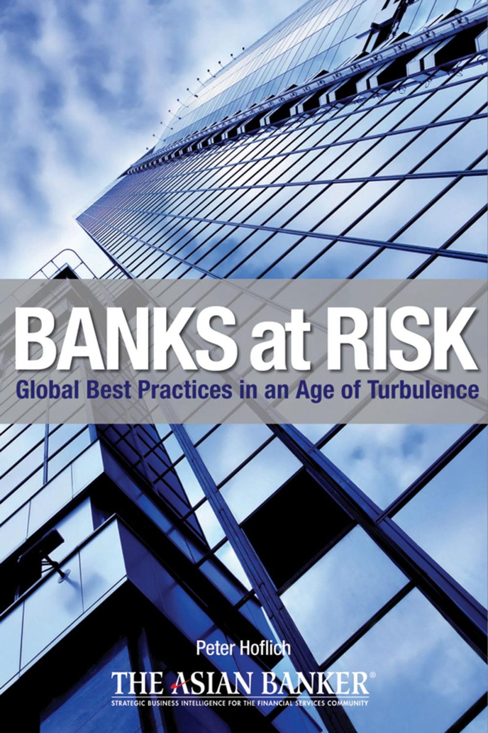 Big bigCover of Banks at Risk