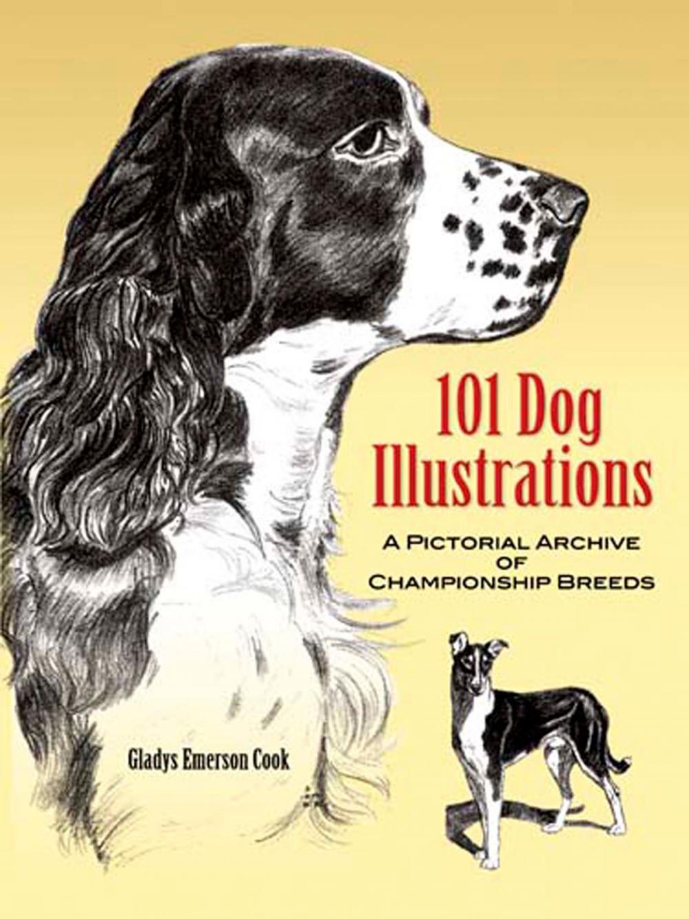 Big bigCover of 101 Dog Illustrations