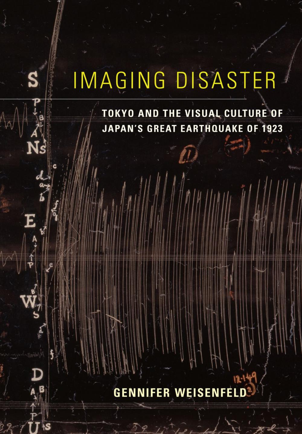 Big bigCover of Imaging Disaster