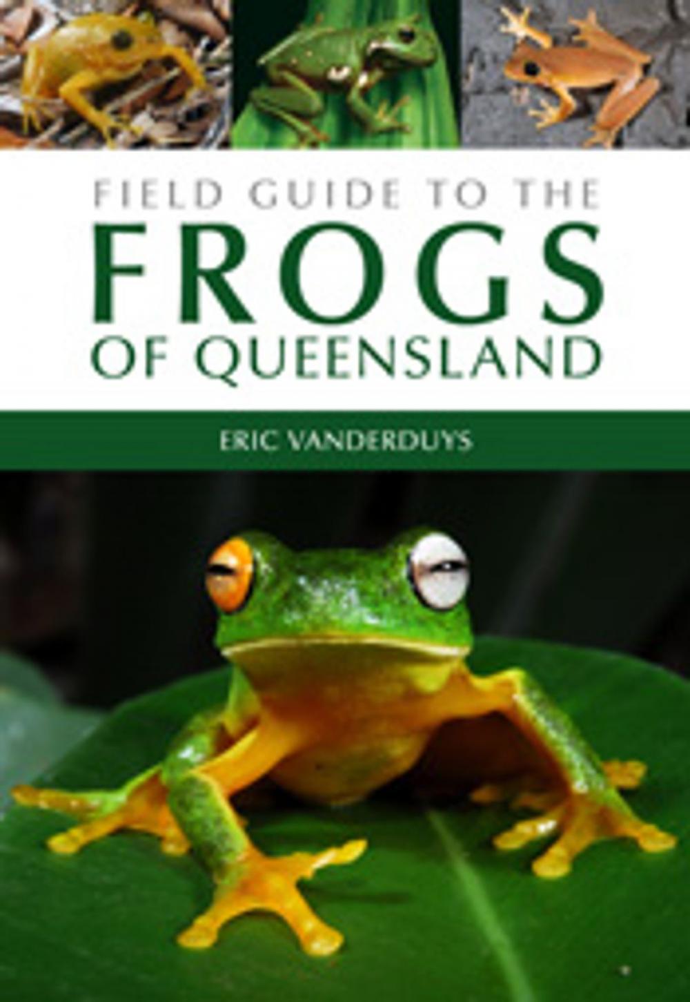 Big bigCover of Field Guide to the Frogs of Queensland