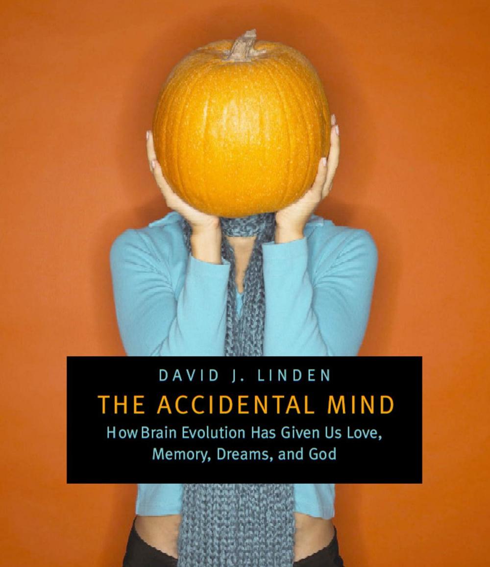 Big bigCover of The Accidental Mind