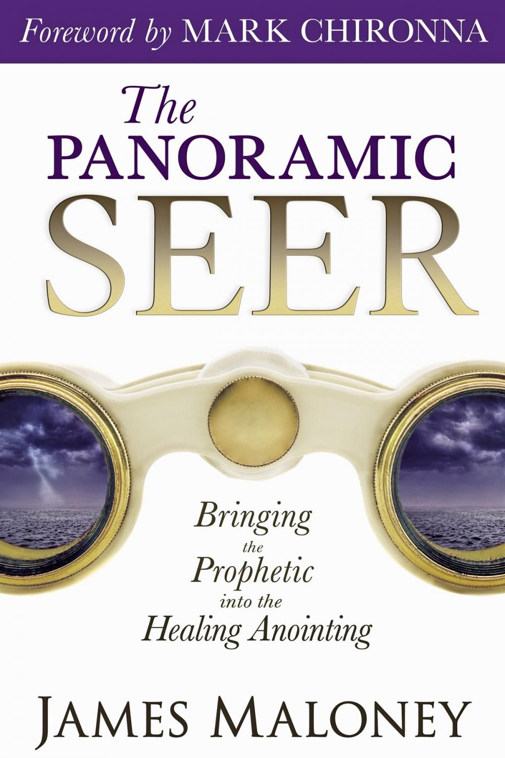 Big bigCover of The Panoramic Seer: Bringing the Prophetic into the Healing Anointing