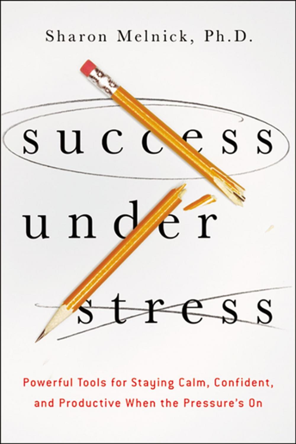 Big bigCover of Success Under Stress