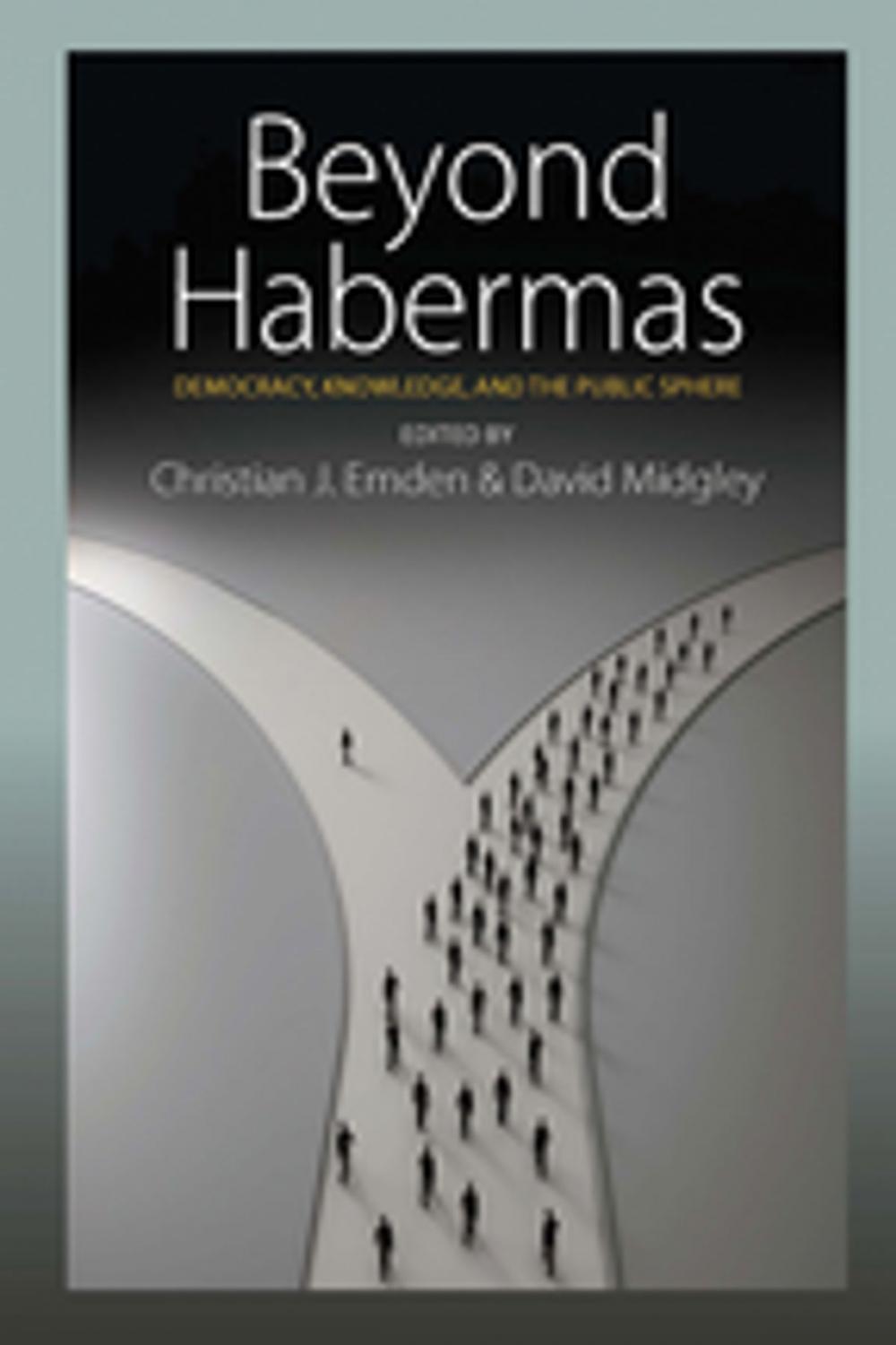 Big bigCover of Beyond Habermas