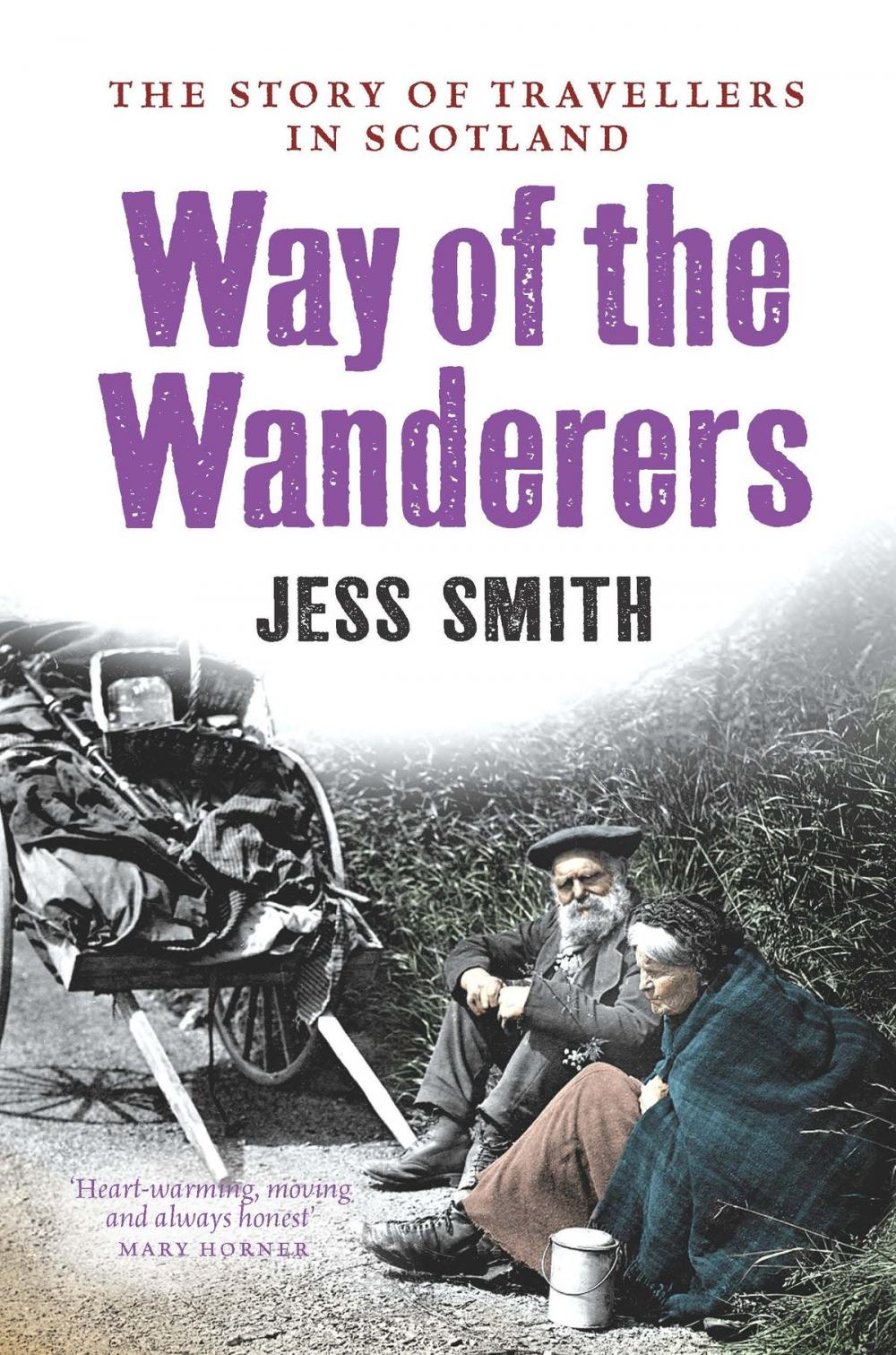 Big bigCover of Way of the Wanderers