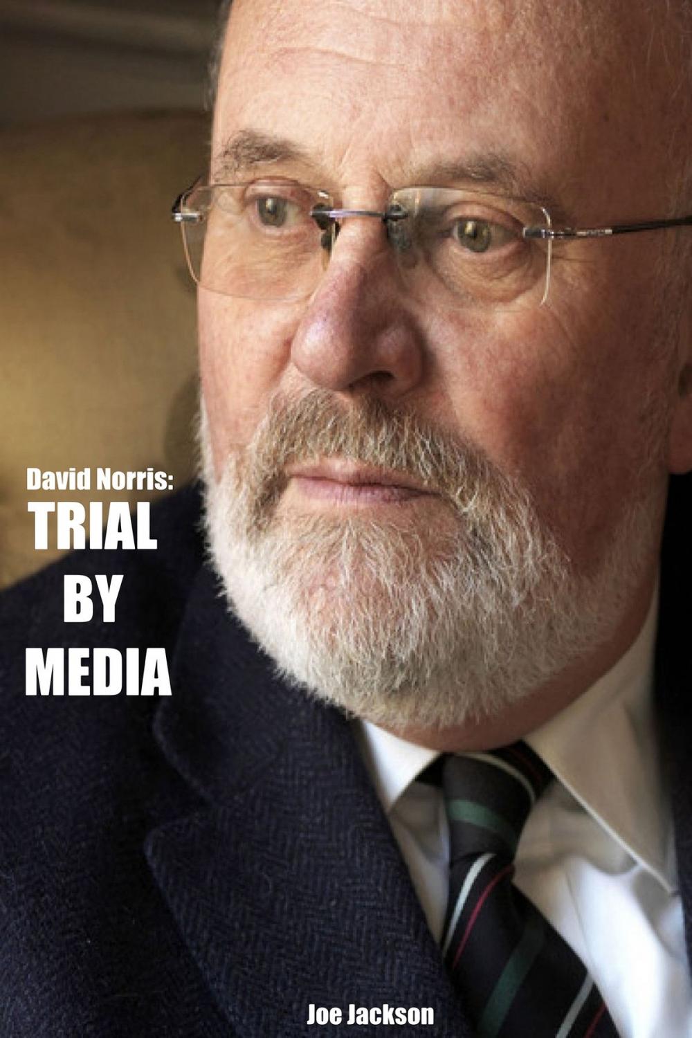 Big bigCover of David Norris: Trial By Media