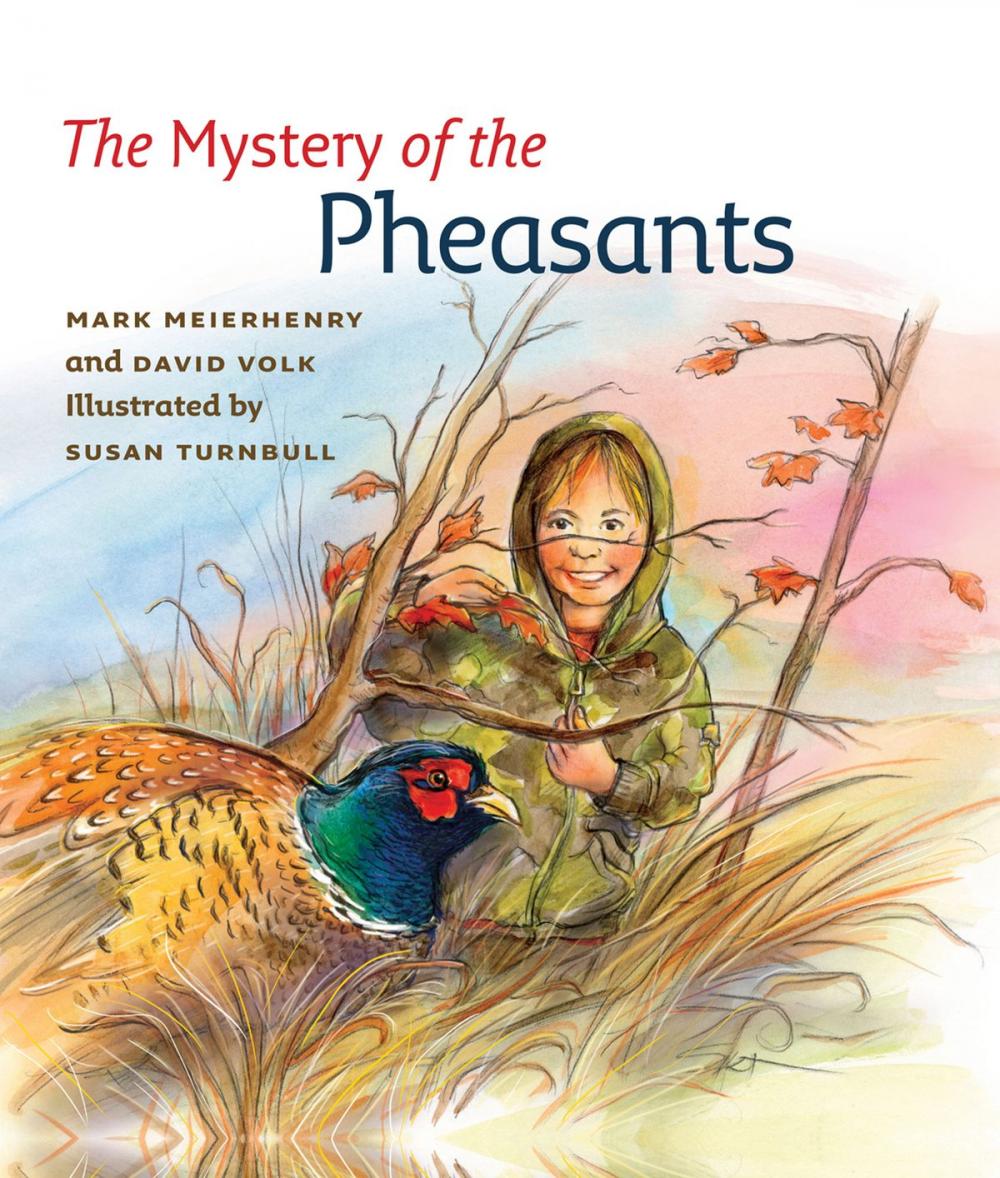 Big bigCover of The Mystery of the Pheasants