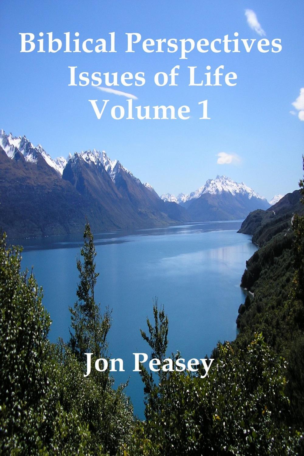 Big bigCover of Biblical Perspectives: Issues of Life Volume 1