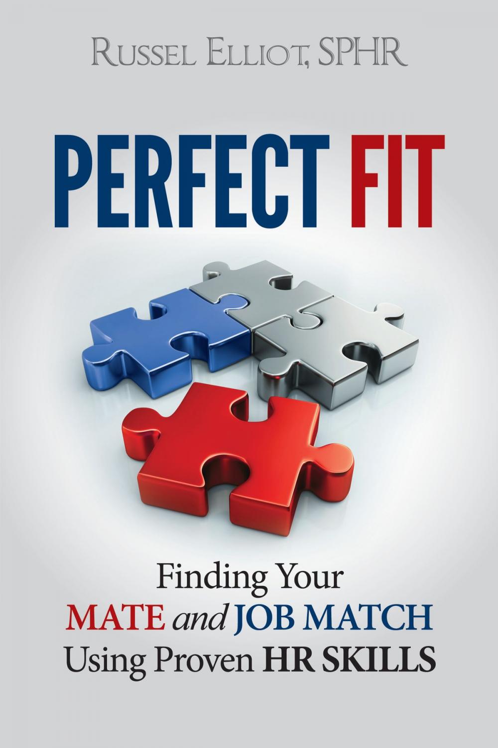 Big bigCover of Perfect Fit: Finding Your Mate and Job Match Using Proven HR Skills