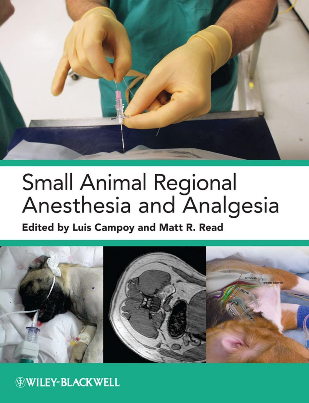 Big bigCover of Small Animal Regional Anesthesia and Analgesia