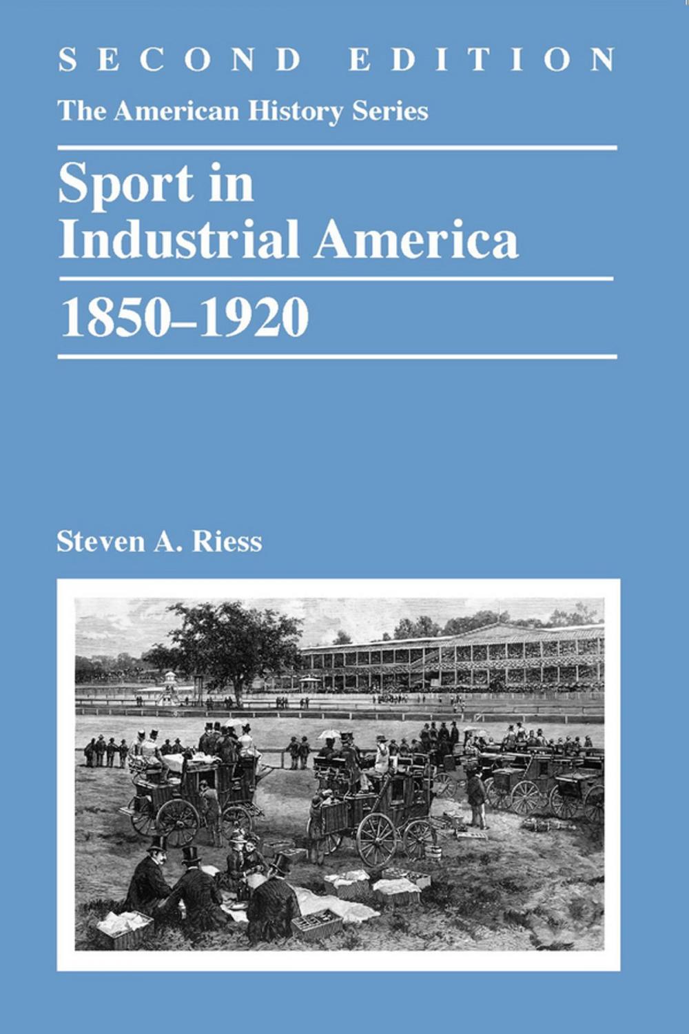 Big bigCover of Sport in Industrial America, 1850-1920