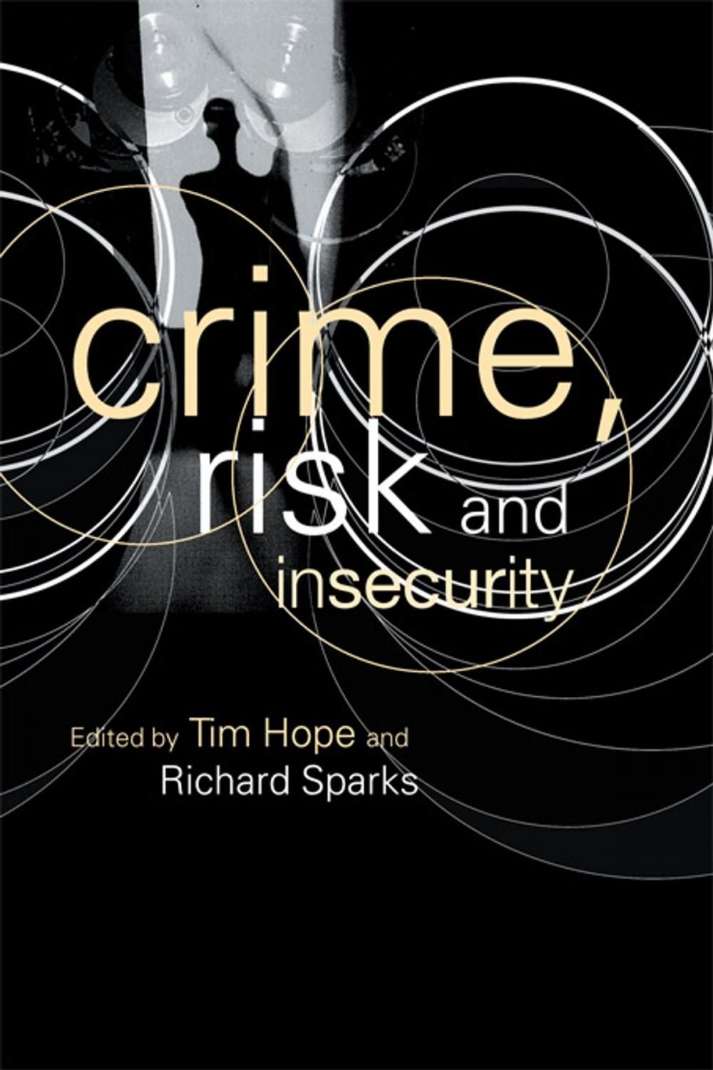 Big bigCover of Crime, Risk and Insecurity