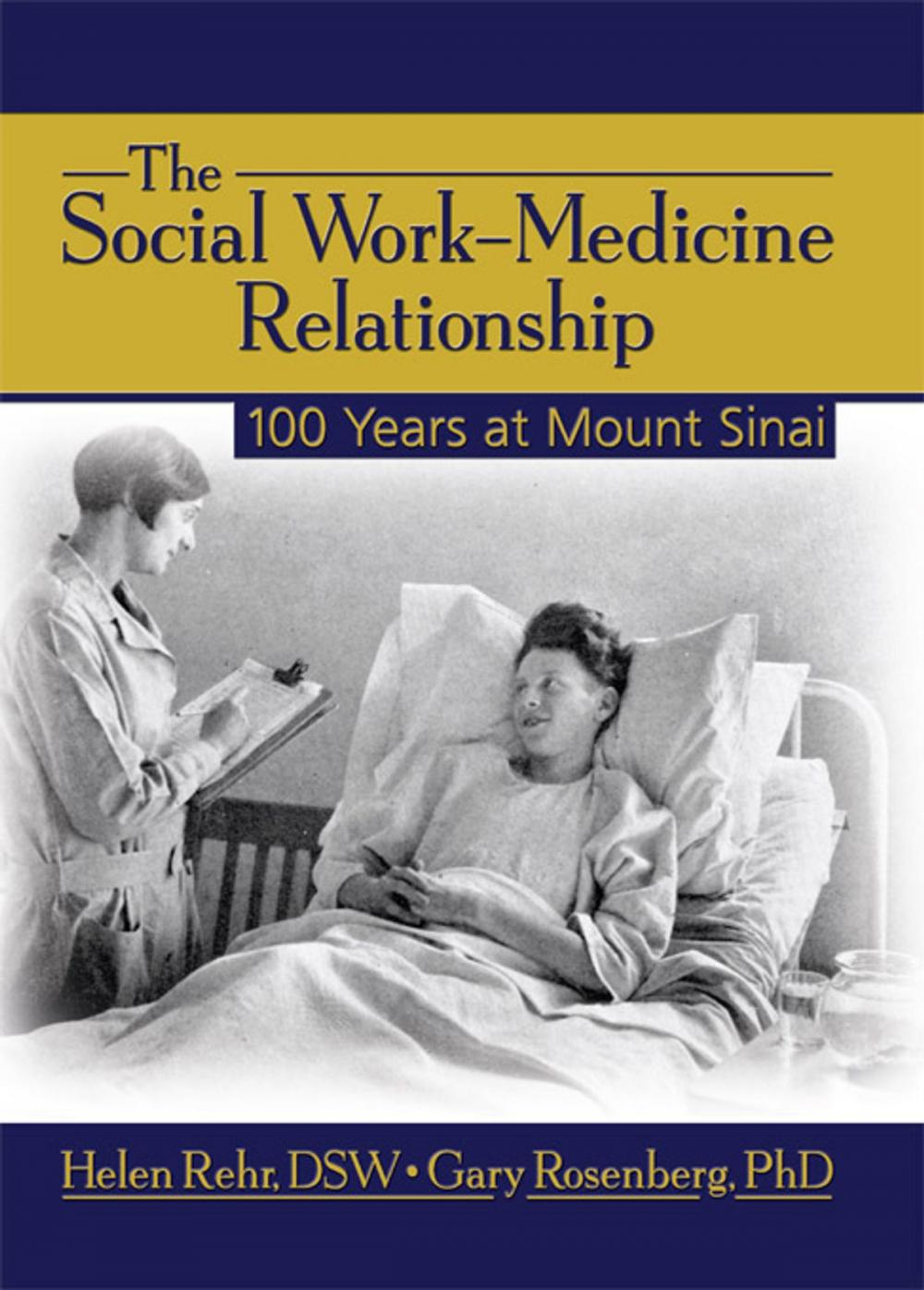 Big bigCover of The Social Work-Medicine Relationship