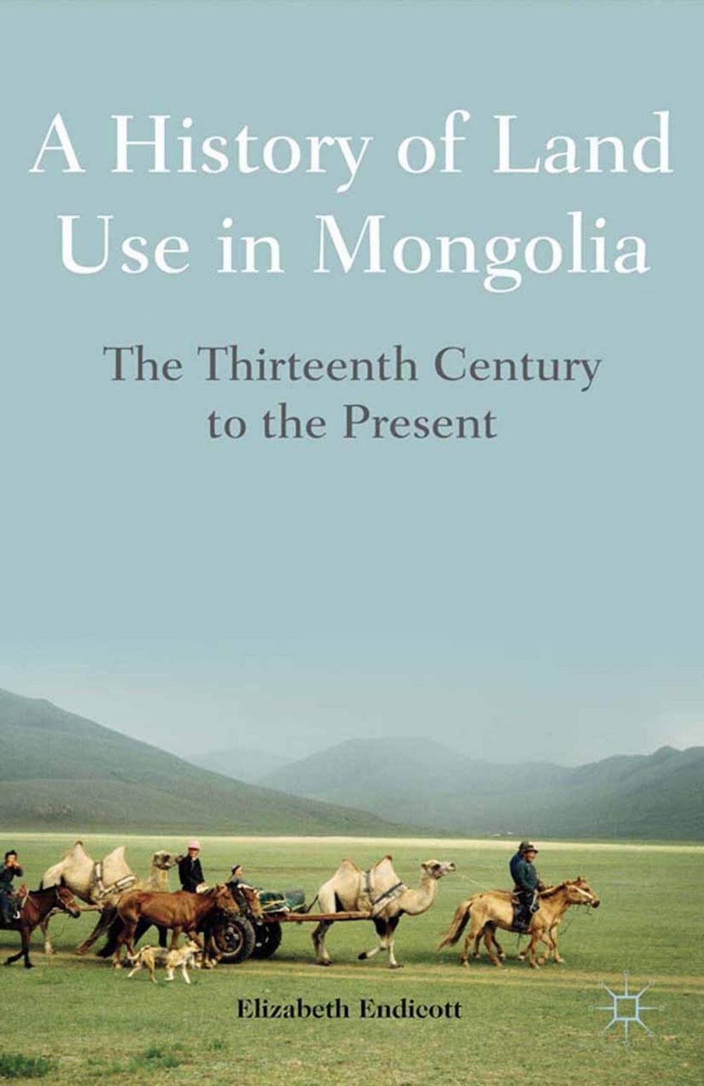 Big bigCover of A History of Land Use in Mongolia