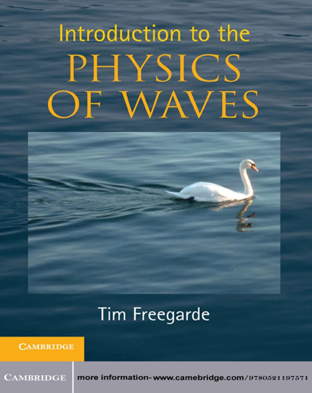 Big bigCover of Introduction to the Physics of Waves