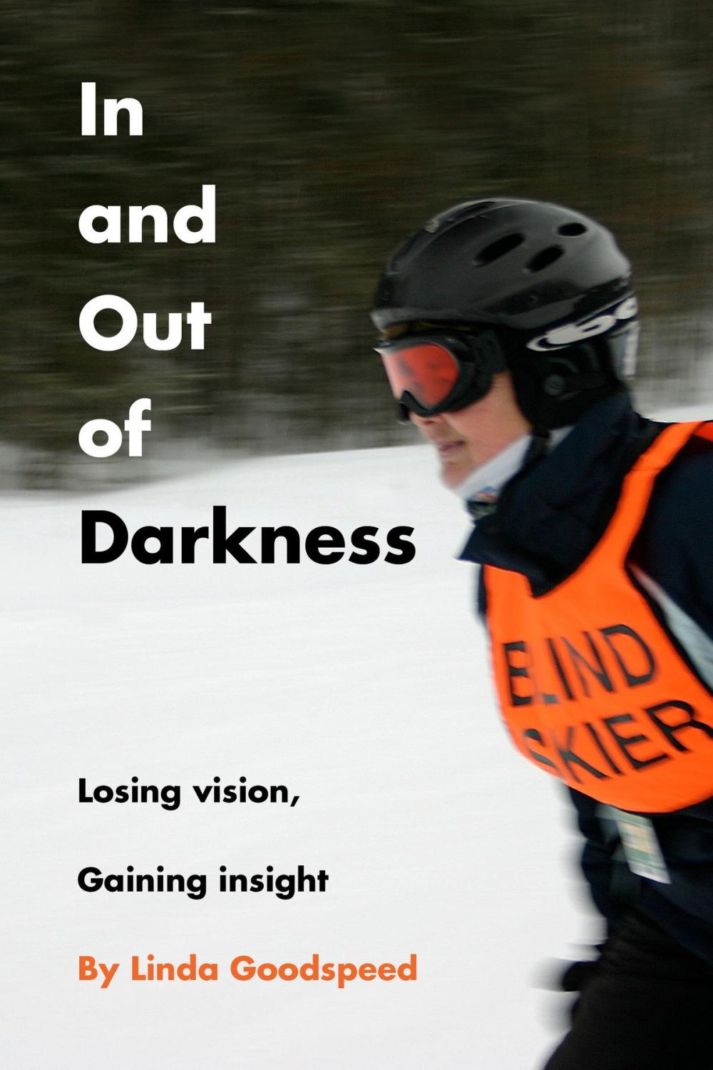 Big bigCover of In and Out of Darkness: Losing Vision, Gaining Insight