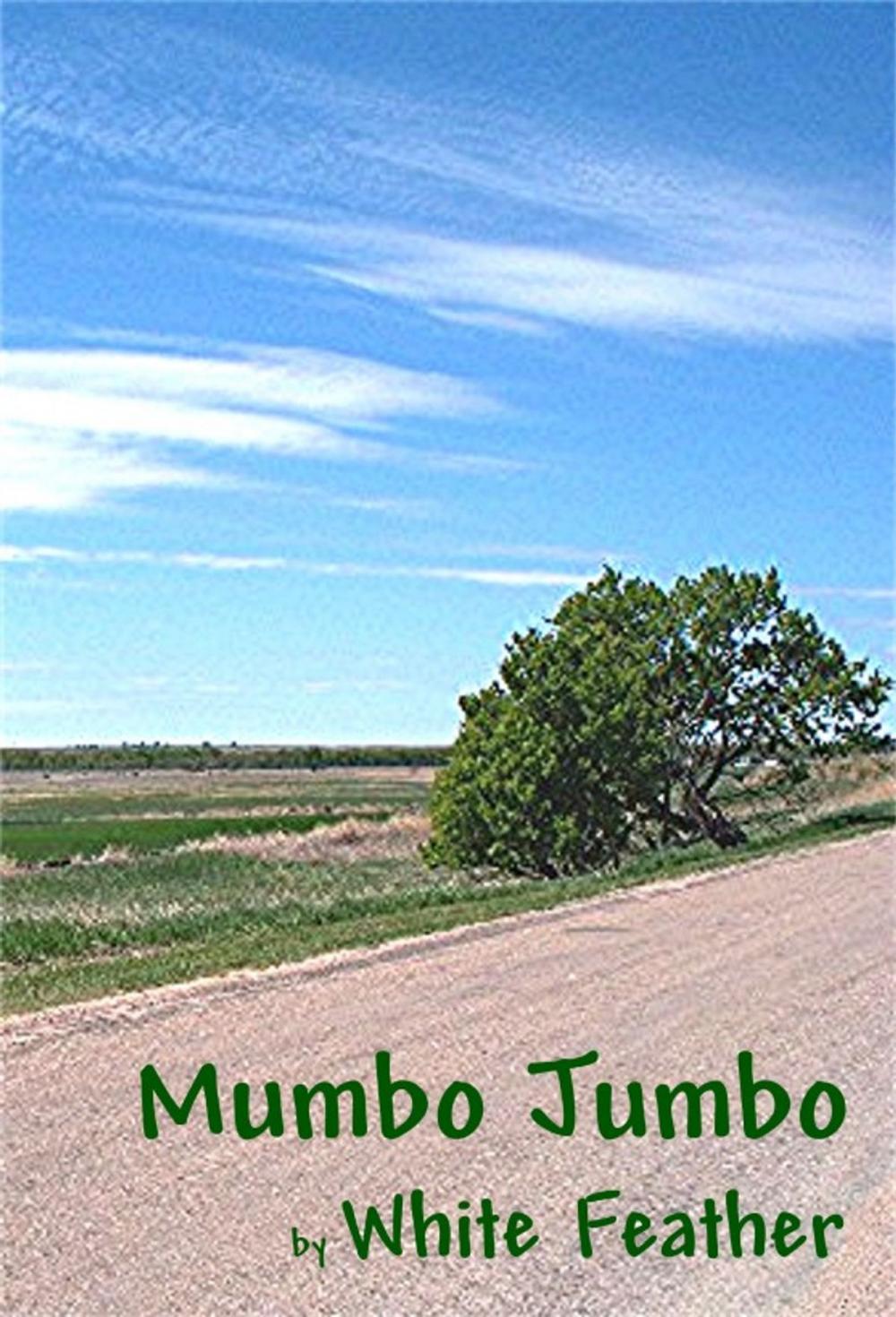 Big bigCover of Mumbo Jumbo