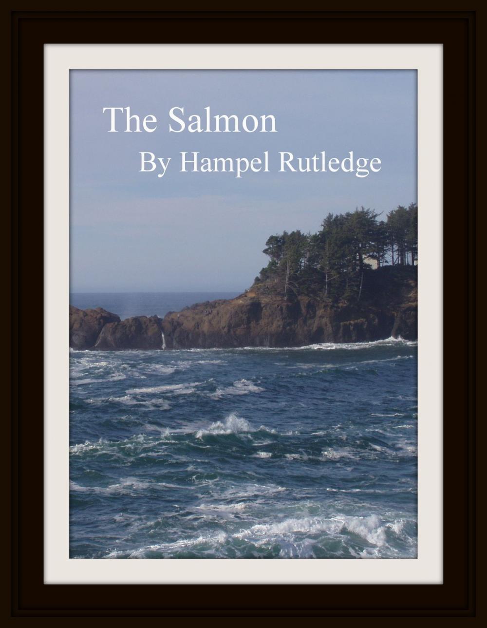 Big bigCover of The Salmon