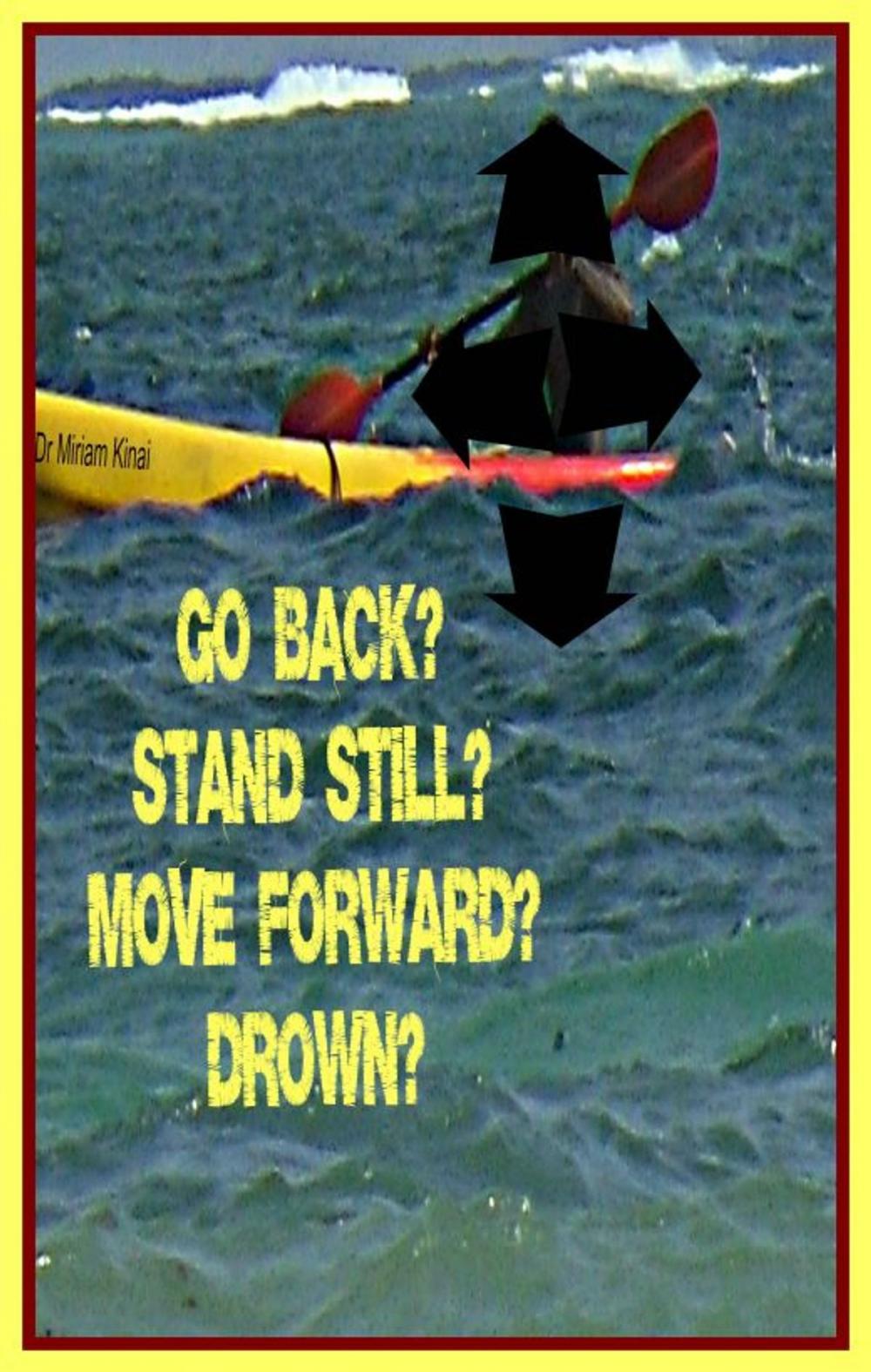 Big bigCover of Go Back? Stand Still? Move Forward? Drown?