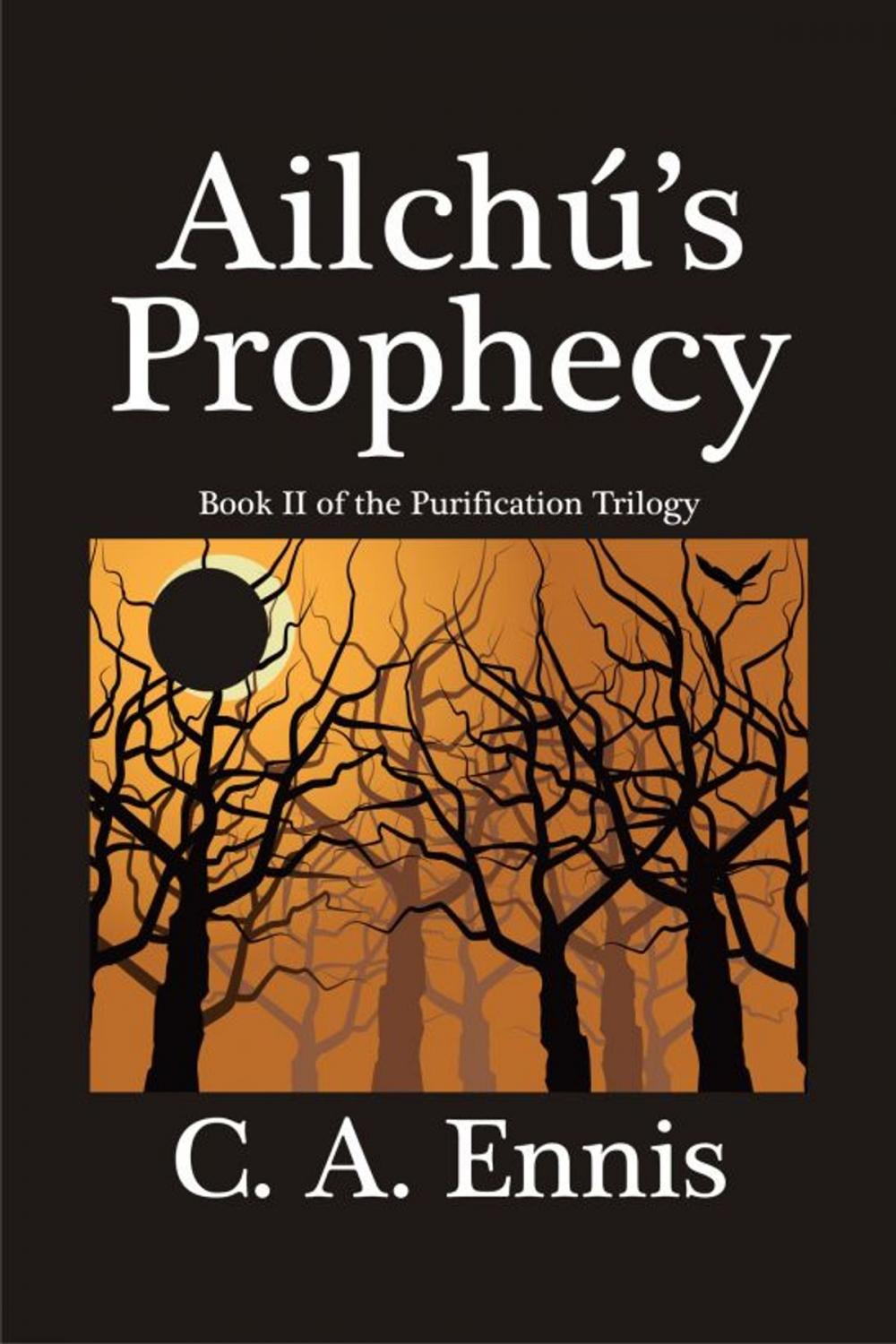 Big bigCover of Ailchú's Prophecy