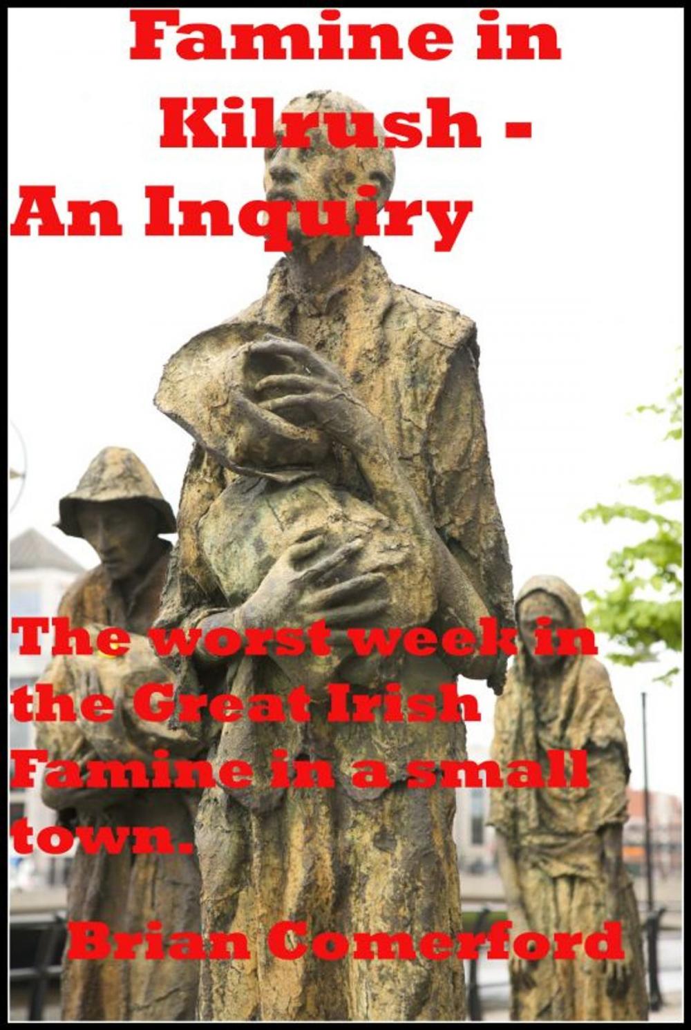 Big bigCover of Famine in Kilrush: An Inquiry