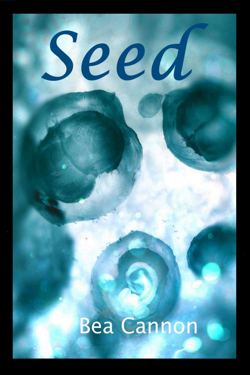 Big bigCover of Seed