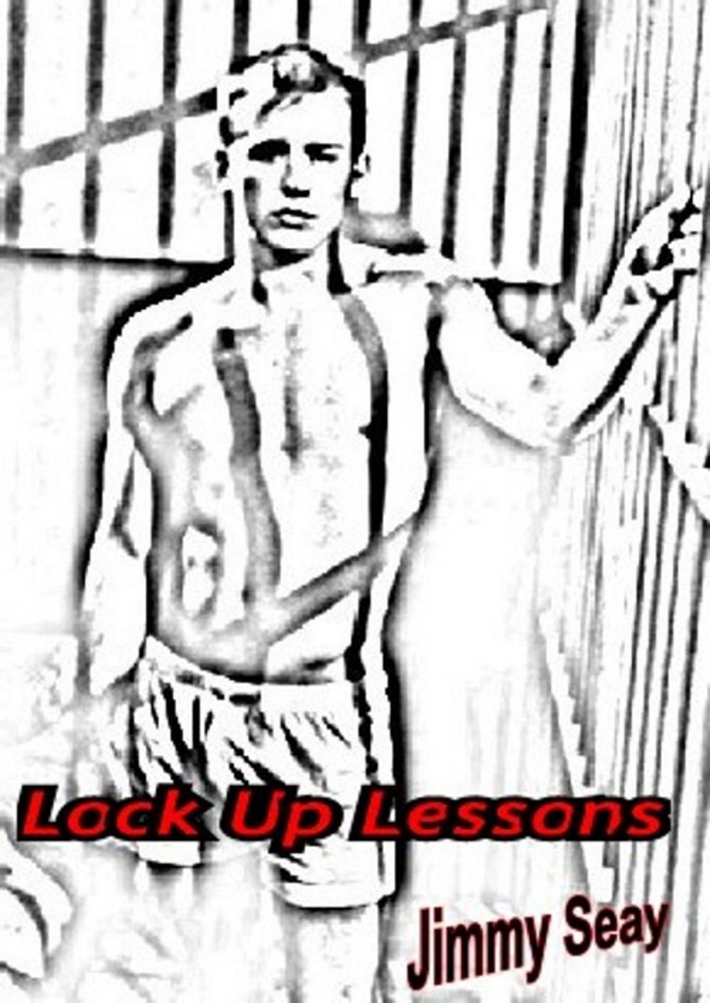 Big bigCover of Lock Up Lessons