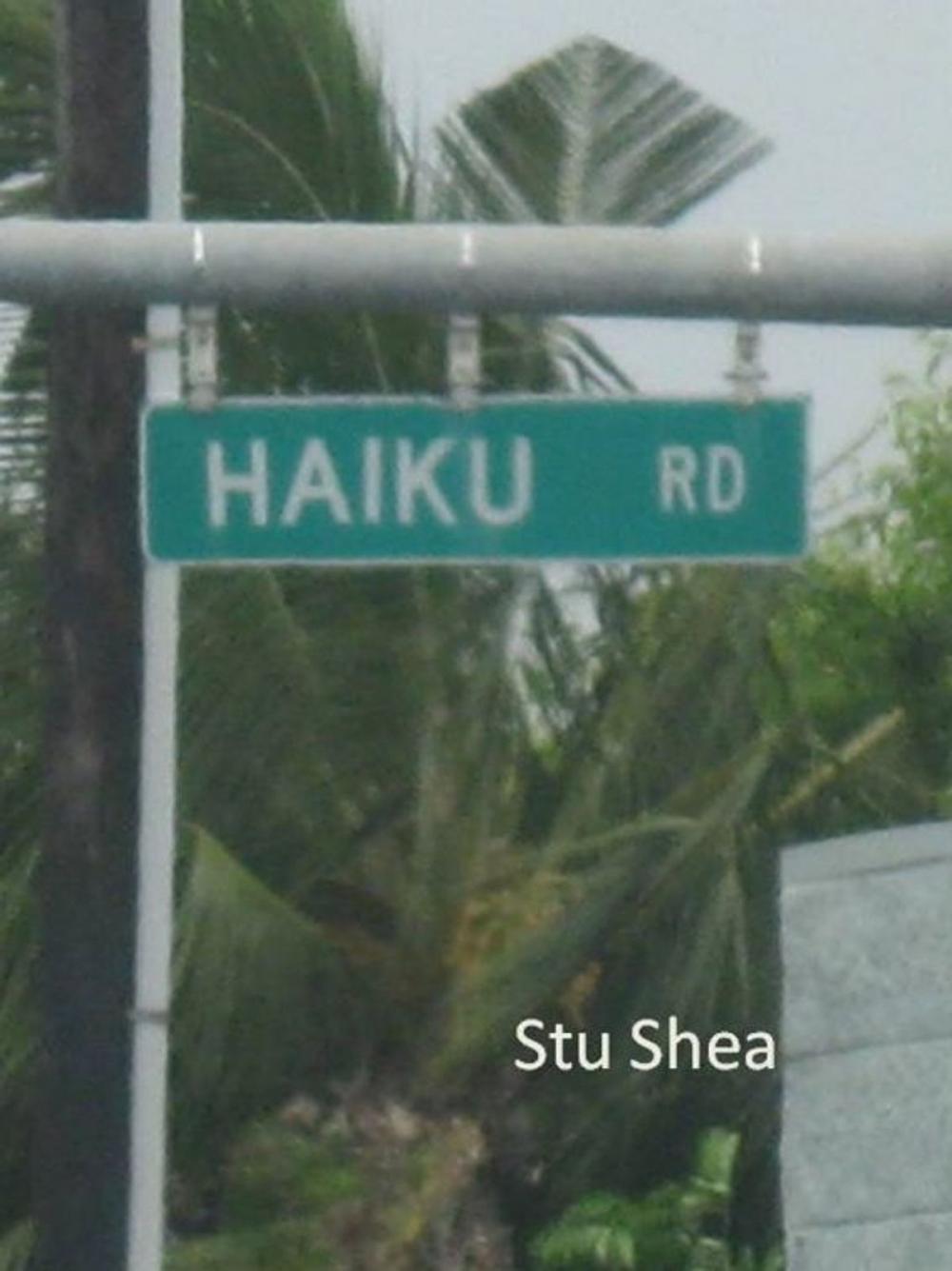 Big bigCover of Haiku Road