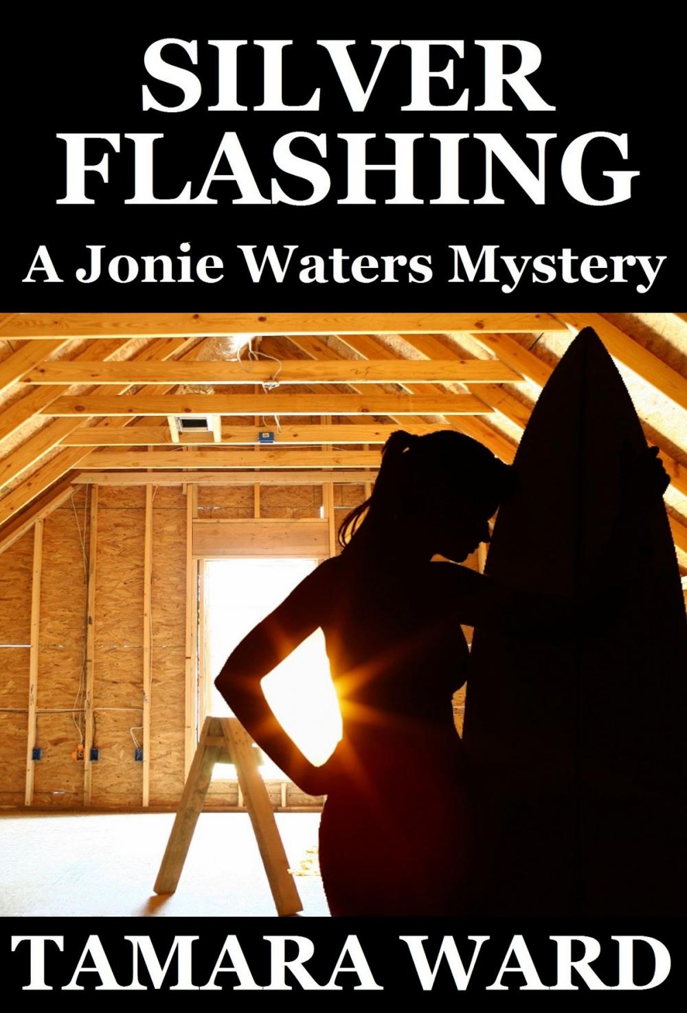 Big bigCover of Silver Flashing (A Jonie Waters Mystery)