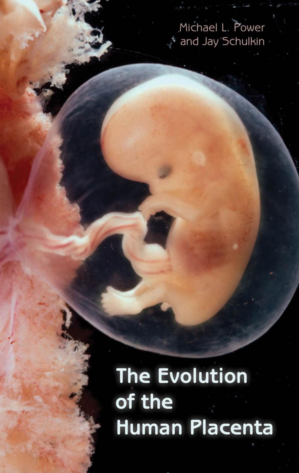 Big bigCover of The Evolution of the Human Placenta