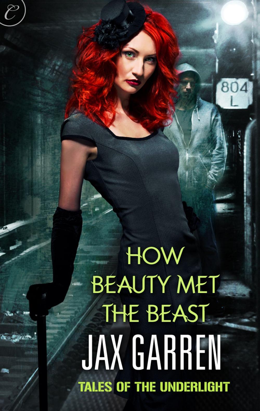 Big bigCover of How Beauty Met the Beast