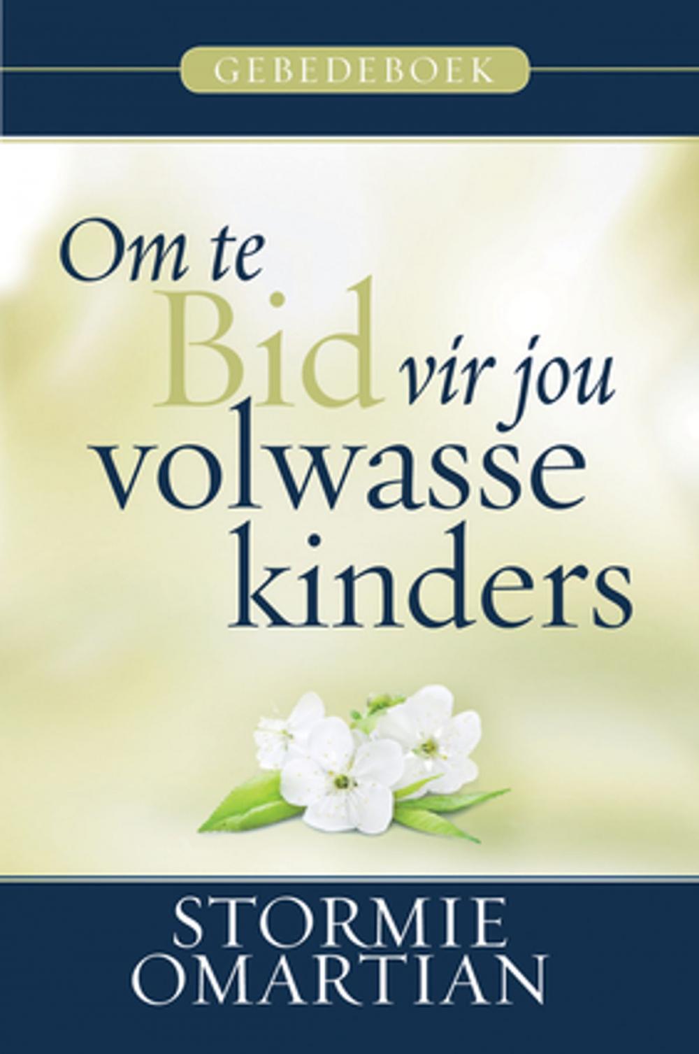 Big bigCover of Om te bid vir jou volwasse kinders - Gebedeboek (eBoek)