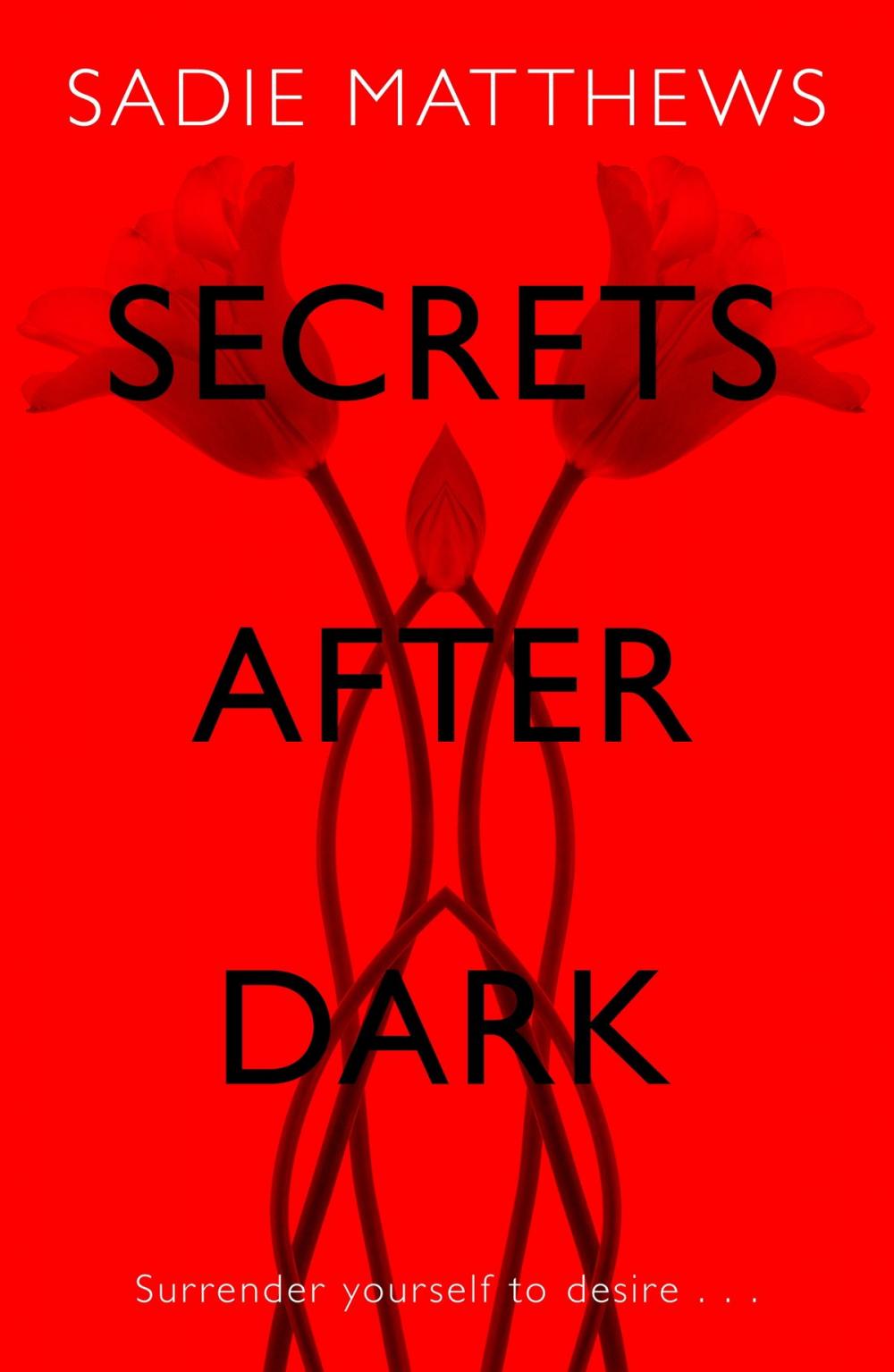 Big bigCover of Secrets After Dark (After Dark Book 2)