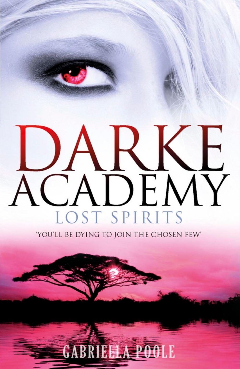 Big bigCover of Darke Academy: Lost Spirits