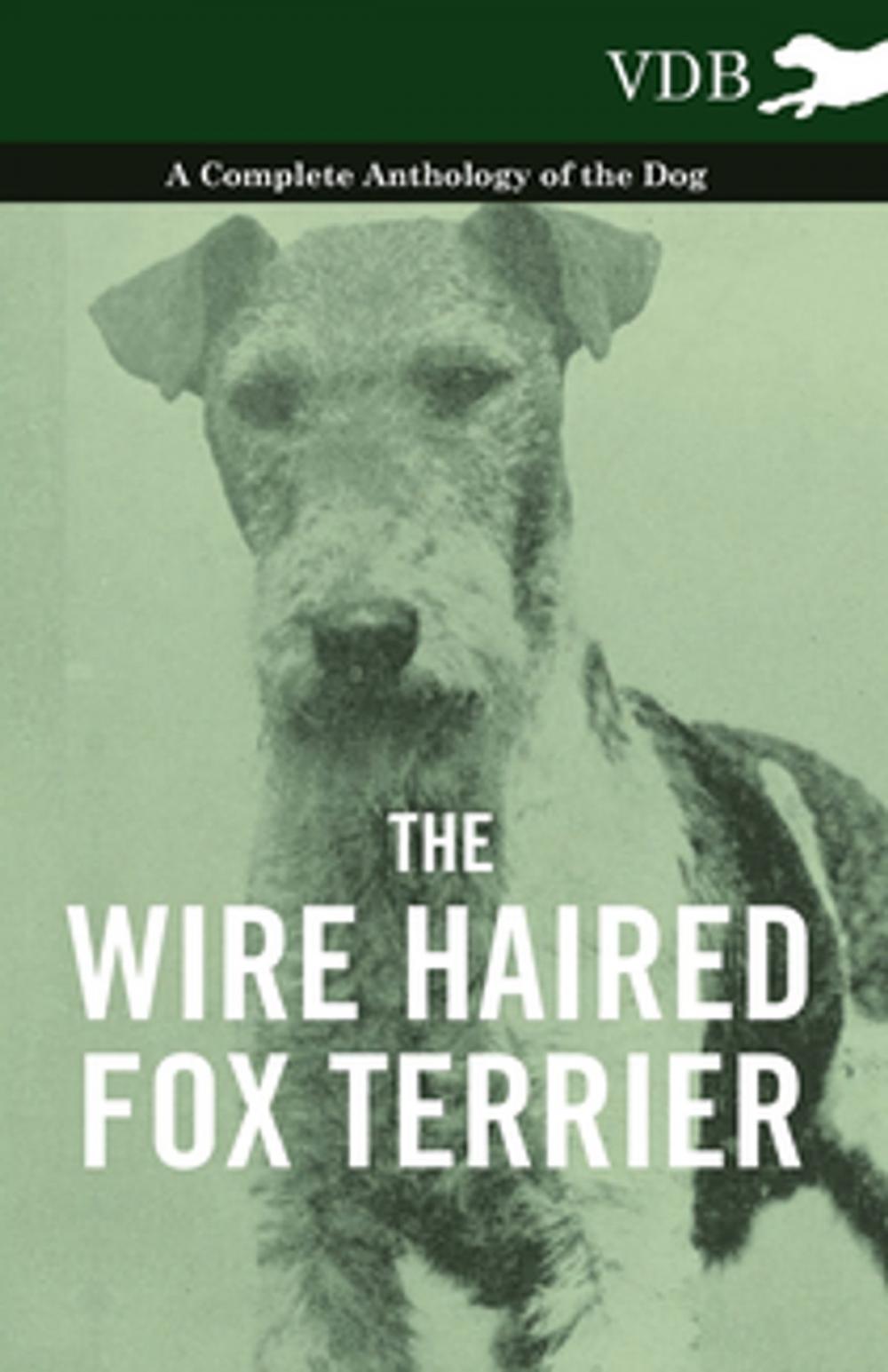 Big bigCover of The Wire Haired Fox Terrier - A Complete Anthology of the Dog