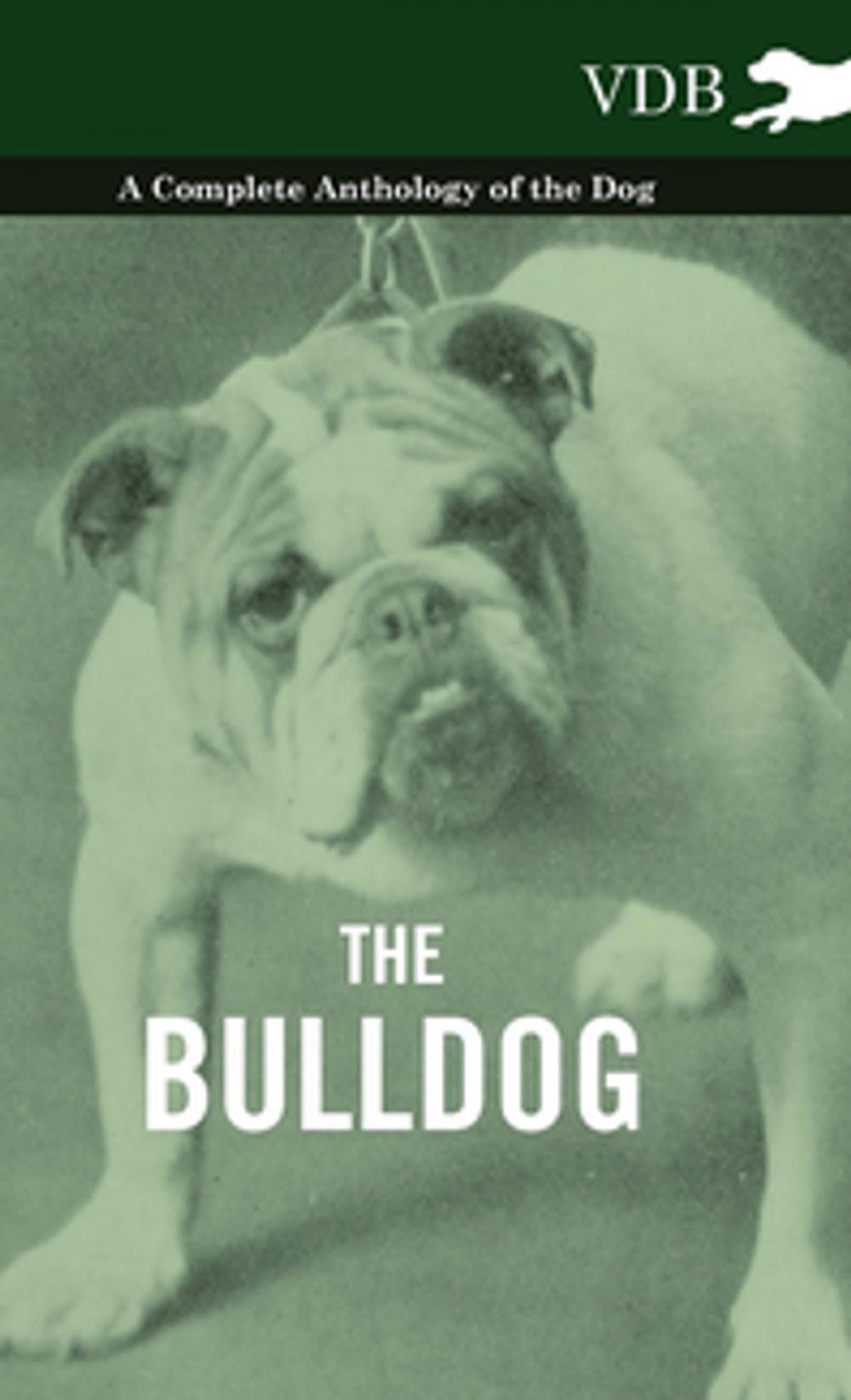 Big bigCover of The Bulldog - A Complete Anthology of the Dog -