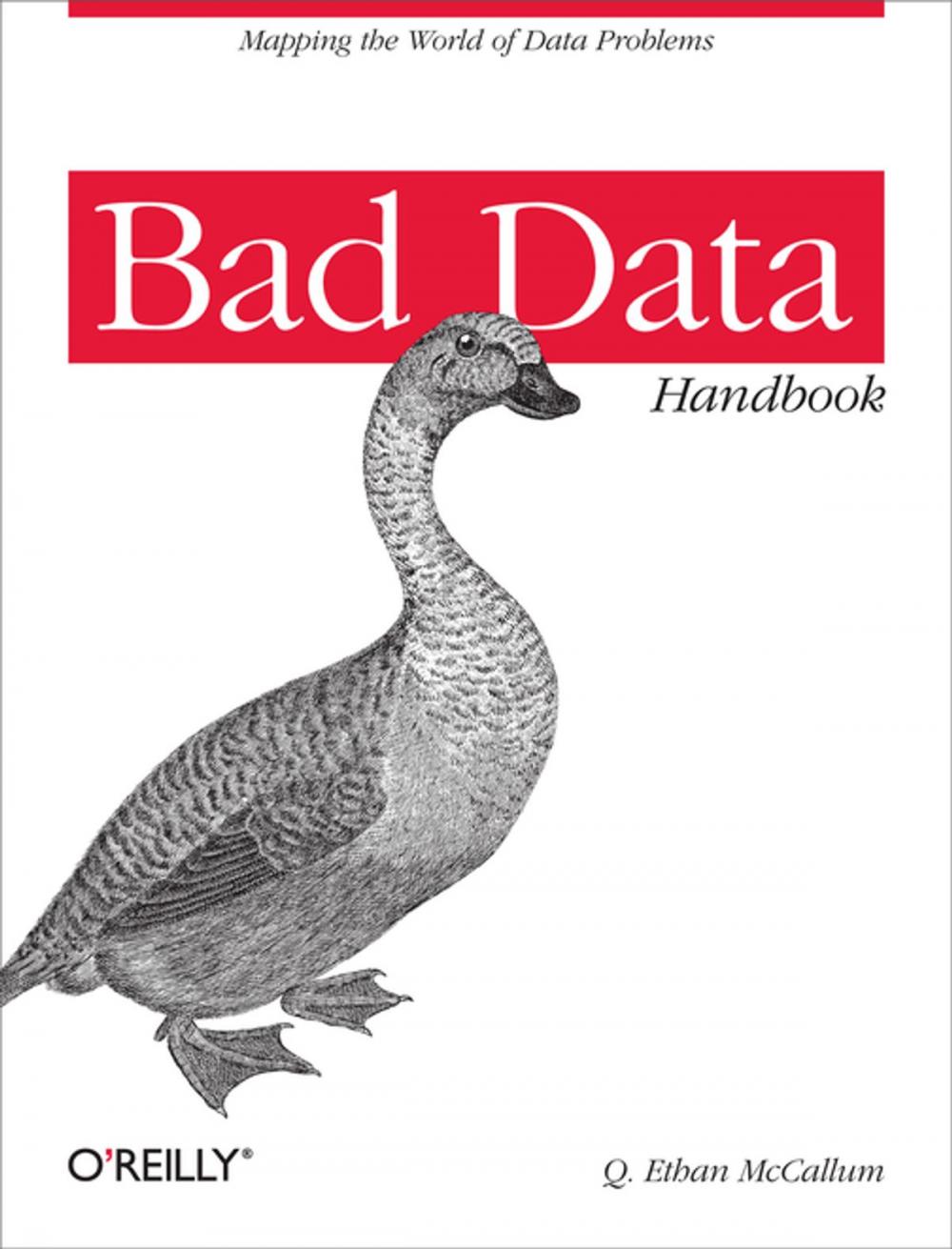 Big bigCover of Bad Data Handbook