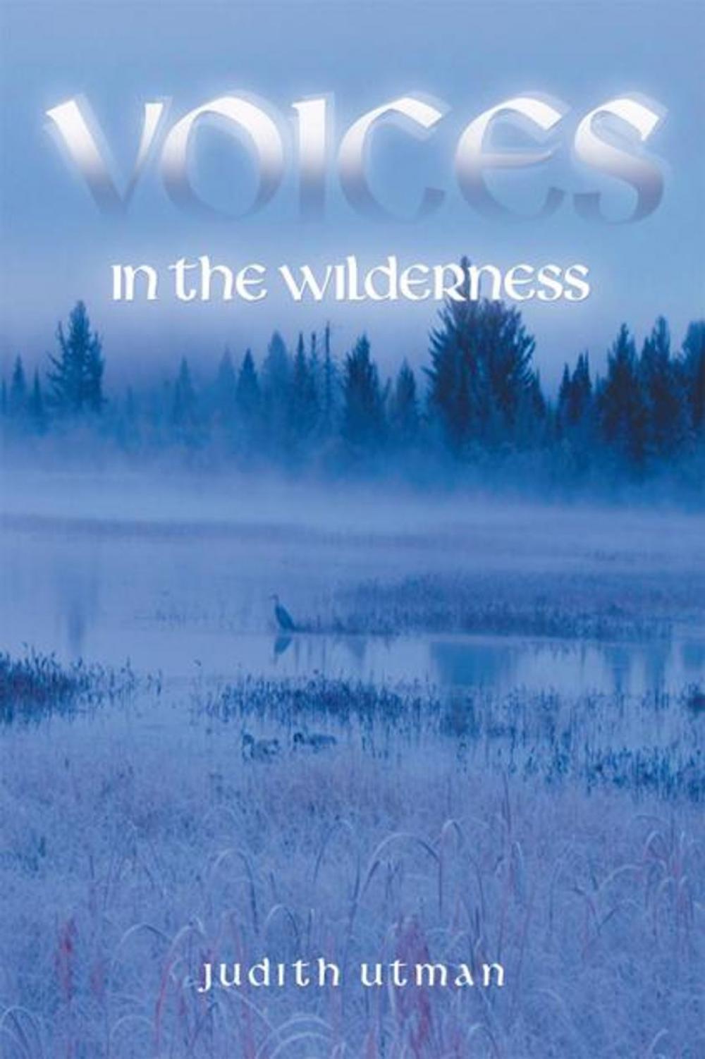Big bigCover of Voices in the Wilderness