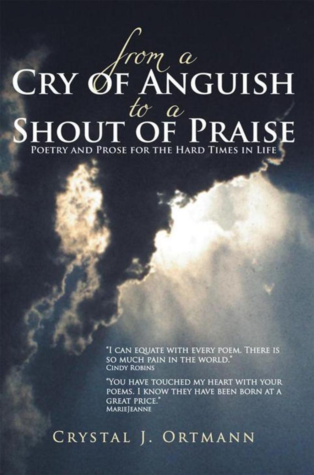 Big bigCover of From a Cry of Anguish to a Shout of Praise