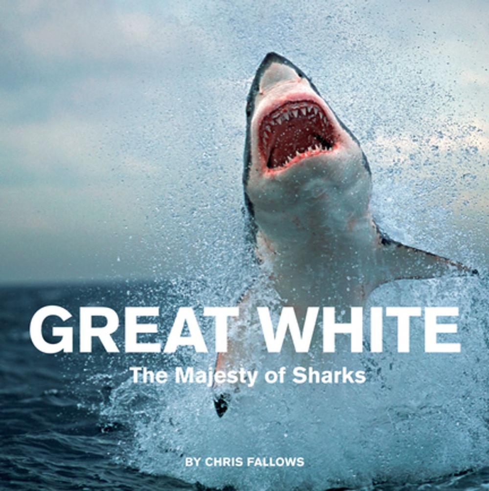 Big bigCover of Great White