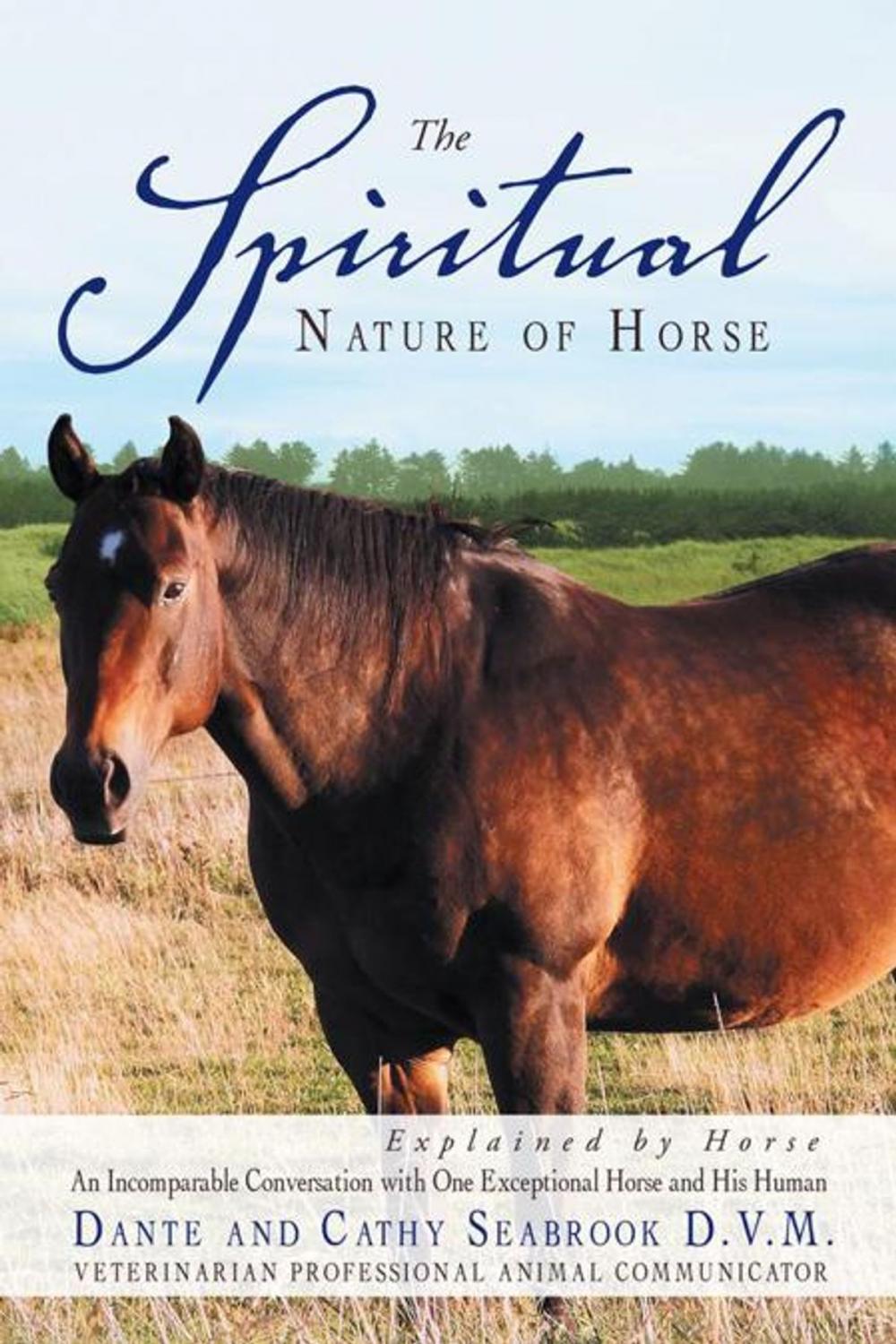 Big bigCover of The Spiritual Nature of Horse Explained by Horse