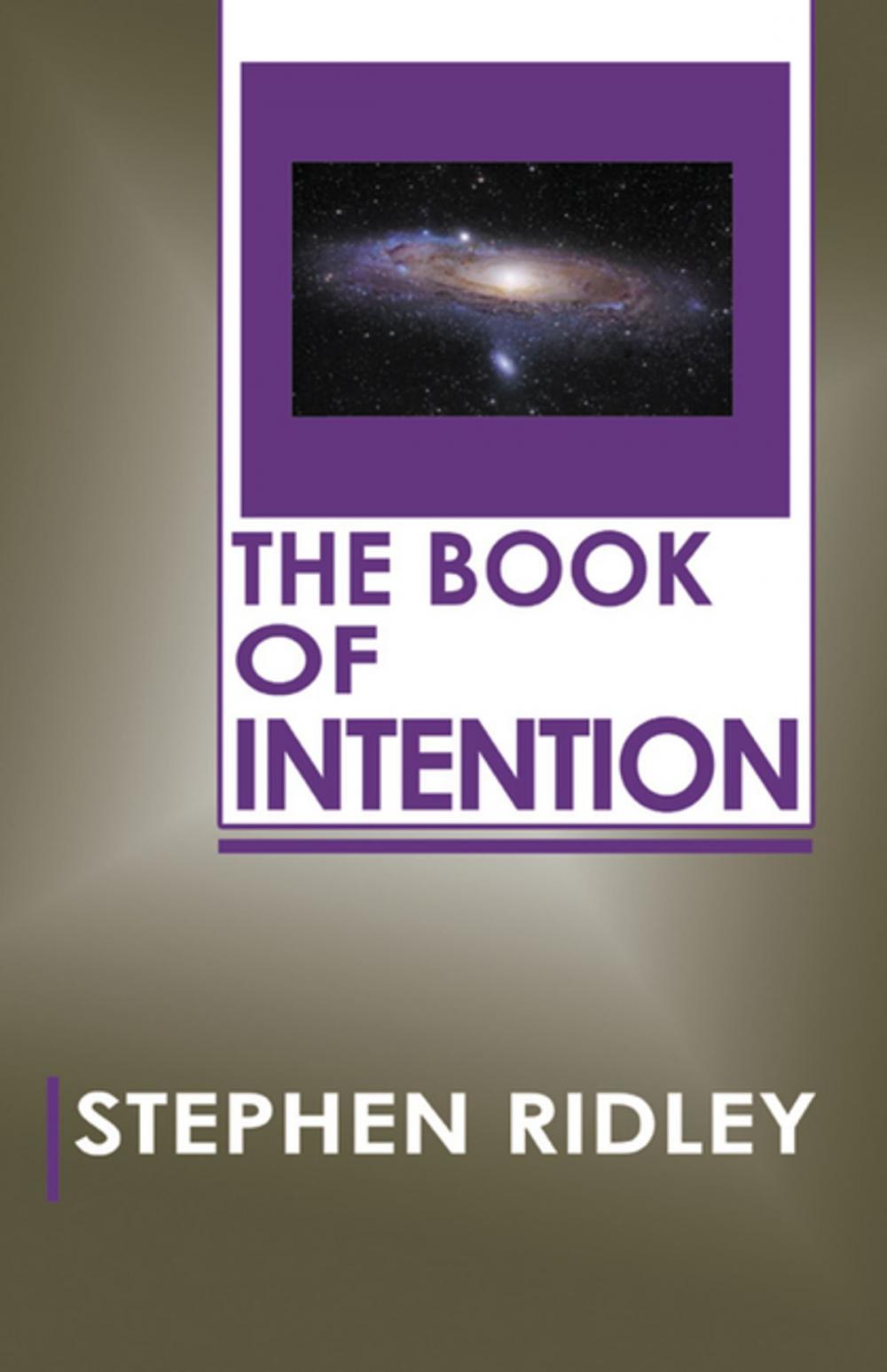 Big bigCover of The Book of Intention