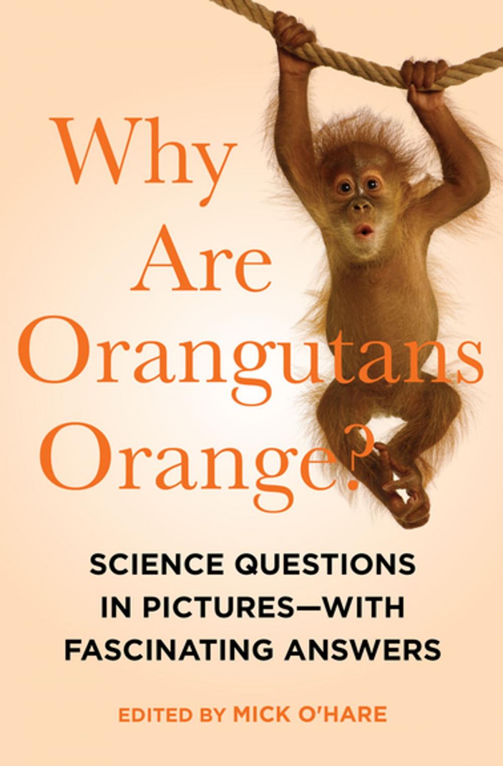 Big bigCover of Why Are Orangutans Orange?