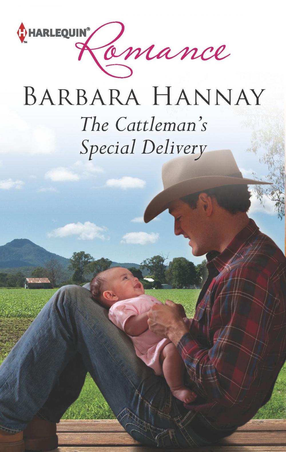 Big bigCover of The Cattleman's Special Delivery