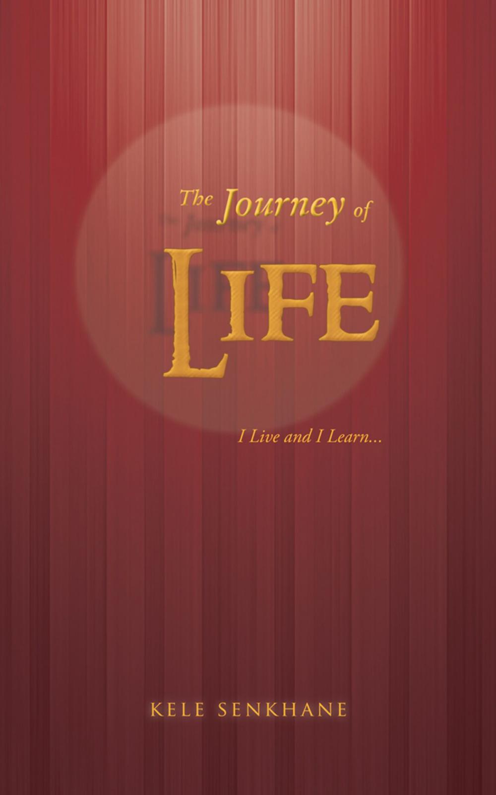 Big bigCover of The Journey of Life