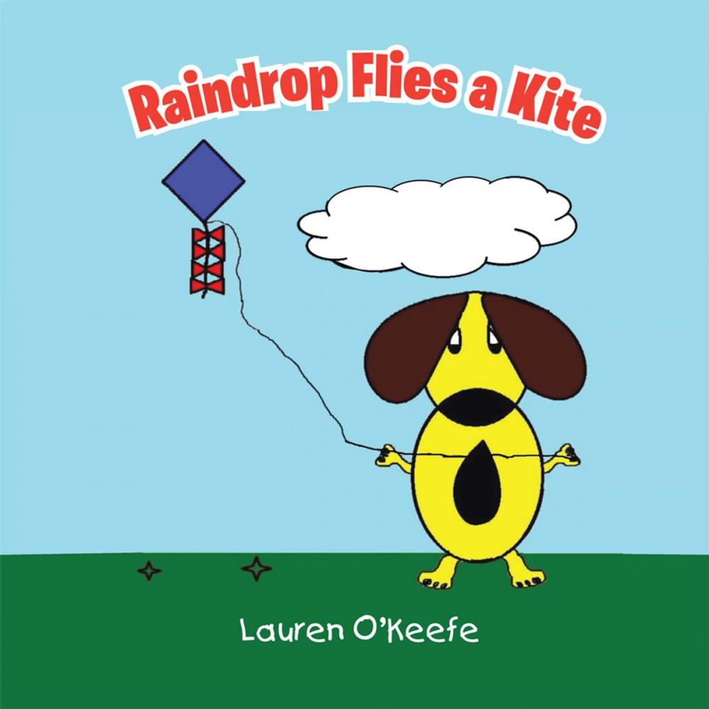 Big bigCover of Raindrop Flies a Kite