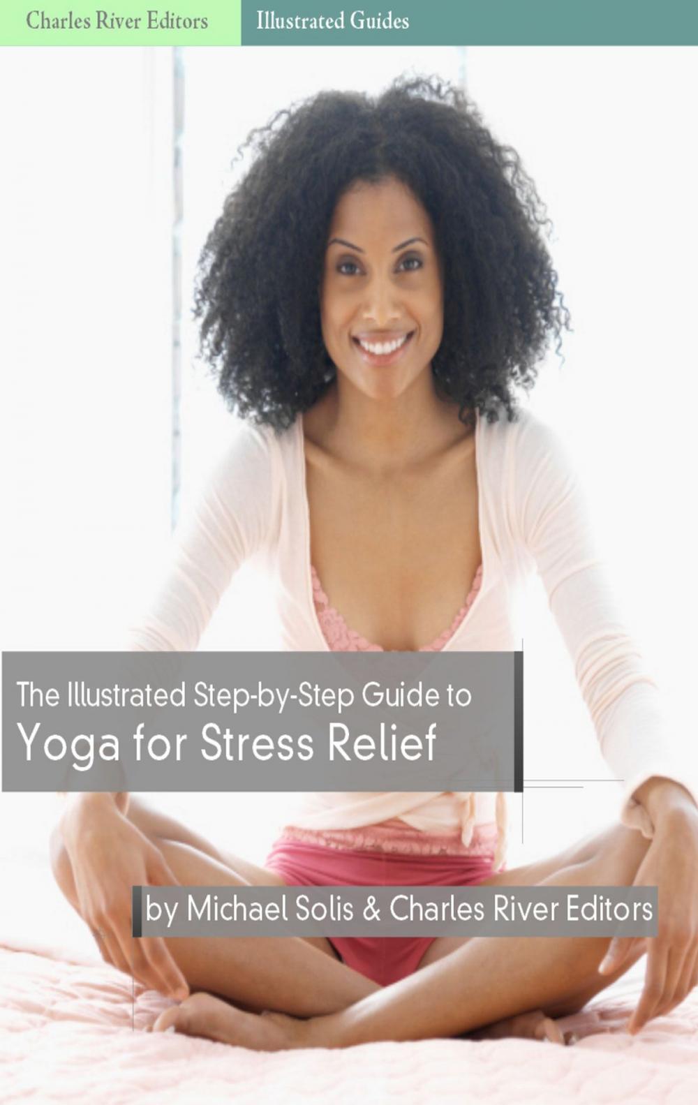 Big bigCover of The Illustrated Step-By-Step Guide to Yoga for Stress Relief