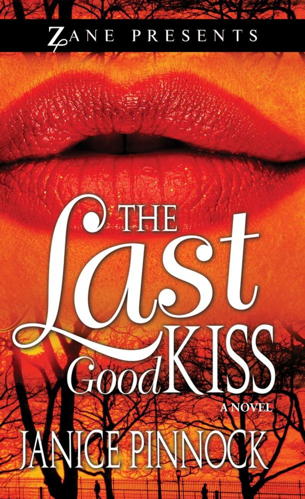 Big bigCover of The Last Good Kiss