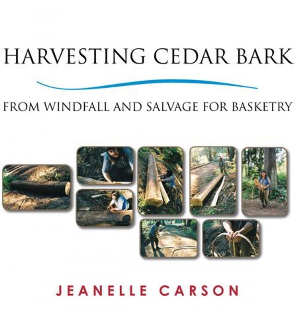 Big bigCover of Harvesting Cedar Bark